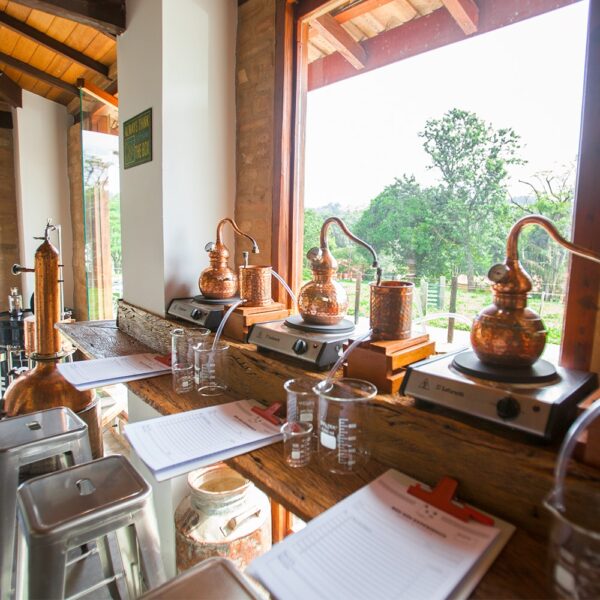 VISITA À DESTILARIA BEG GIN COM DEGUSTAÇÃO