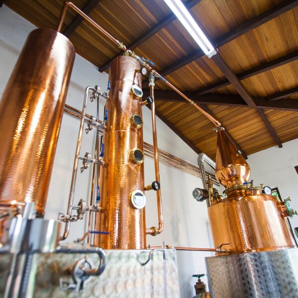 VISITA À DESTILARIA BEG GIN COM DEGUSTAÇÃO