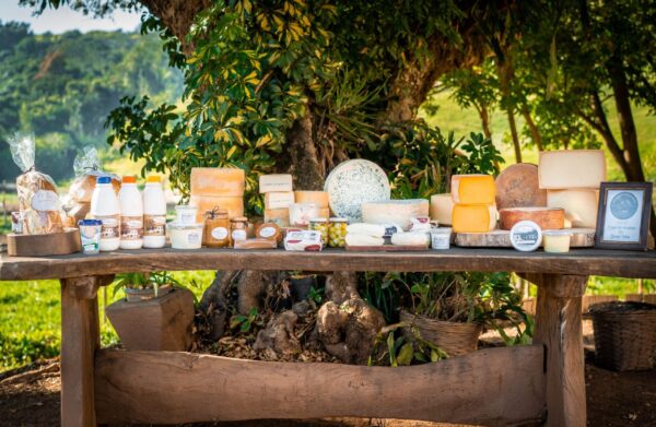 DEGUSTAÇÃO DE QUEIJOS NA FAZENDA ATALAIA