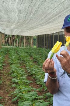 FAZENDA SANTA ADELAIDE