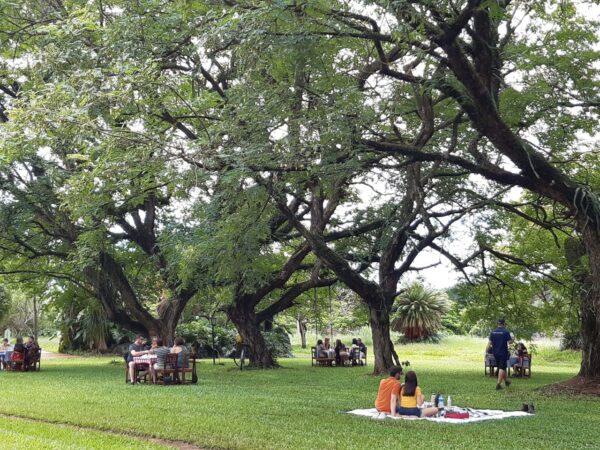 PIQUENIQUE NA FAZENDA TOZAN