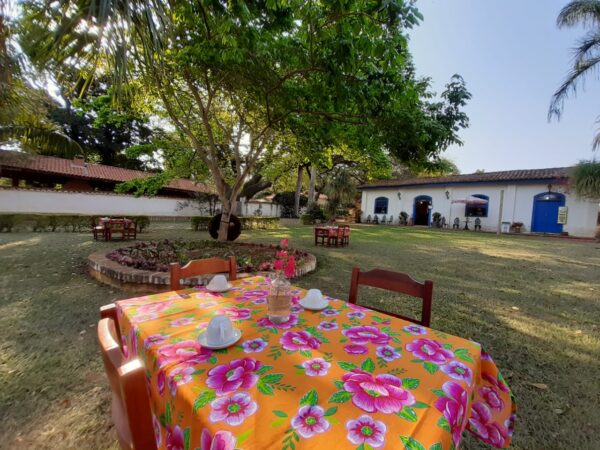 PIQUENIQUE NA FAZENDA TOZAN