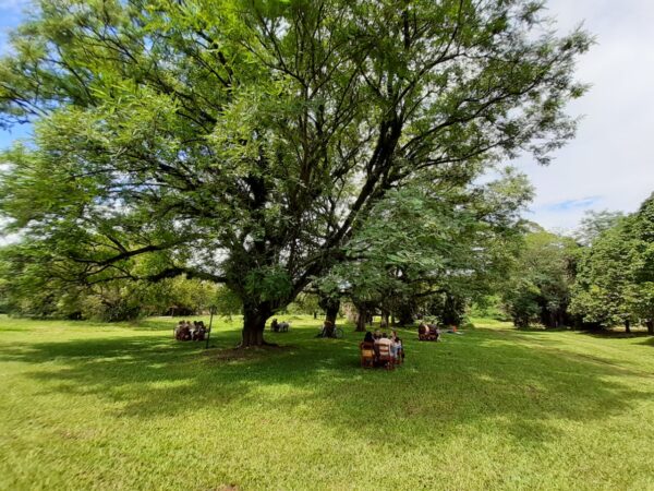 PIQUENIQUE NA FAZENDA TOZAN