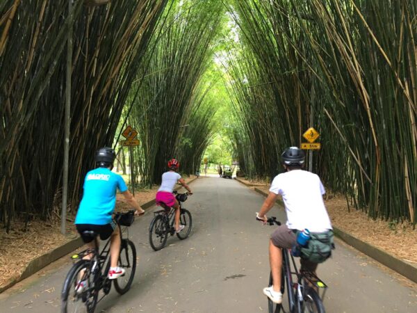 CYCLING TOUR EM SÃO PAULO