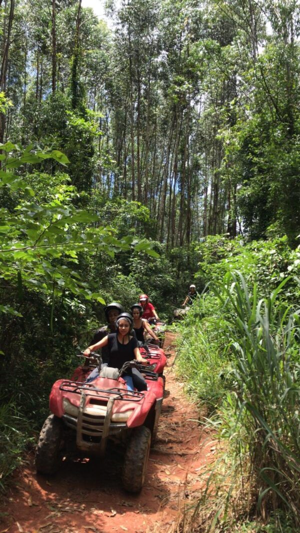 QUADRICICLO EM JOAQUM EGÍDIO