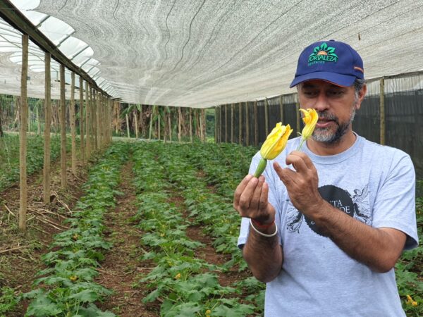 FAZENDA SANTA ADELAIDE