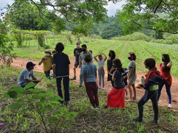 FAZENDA SANTA ADELAIDE